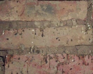 Defecaciones-Vinchucas-300×239